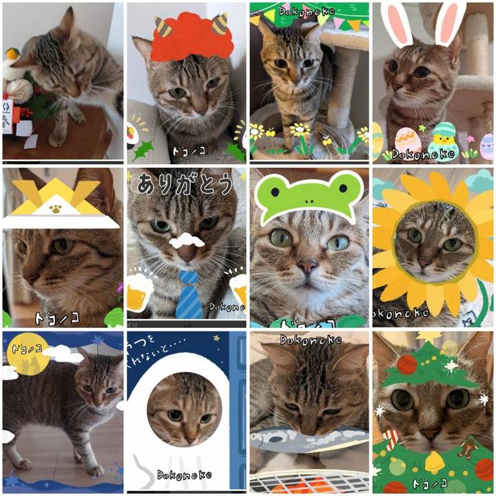 E76a57e2 1e13 459a b66b ec514b47e10c 1767185368407