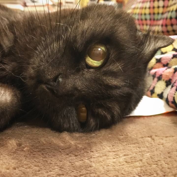 E76a66e0 64b9 497c 9f2e 6dfeb76ea5fb 1588093113723