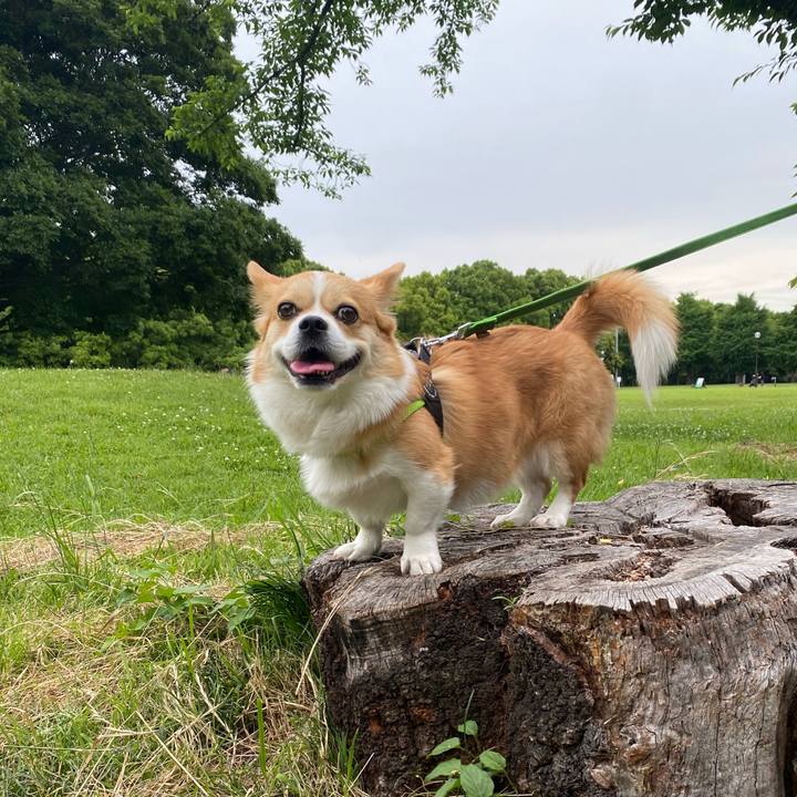 E76a6c13 3ae7 430d b180 85a647e30884 1654081869663