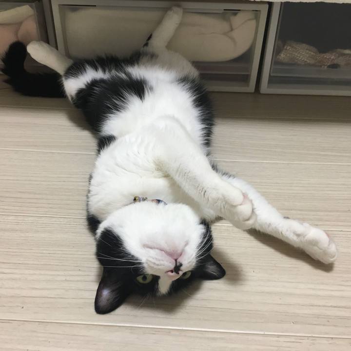 E76a98ea 1411 4ba0 adbe 124c6988b091 1562454883180