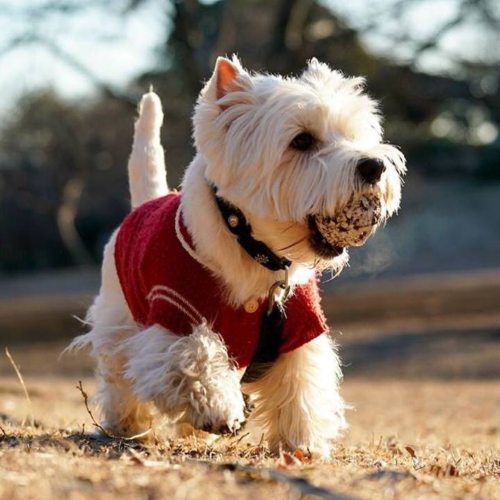 E76aad13 79d3 49cc 8216 30a73a823313 1518011381160