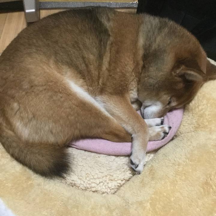 E76ac8a0 9e27 4402 a98d a39edb788a93 1582203394076