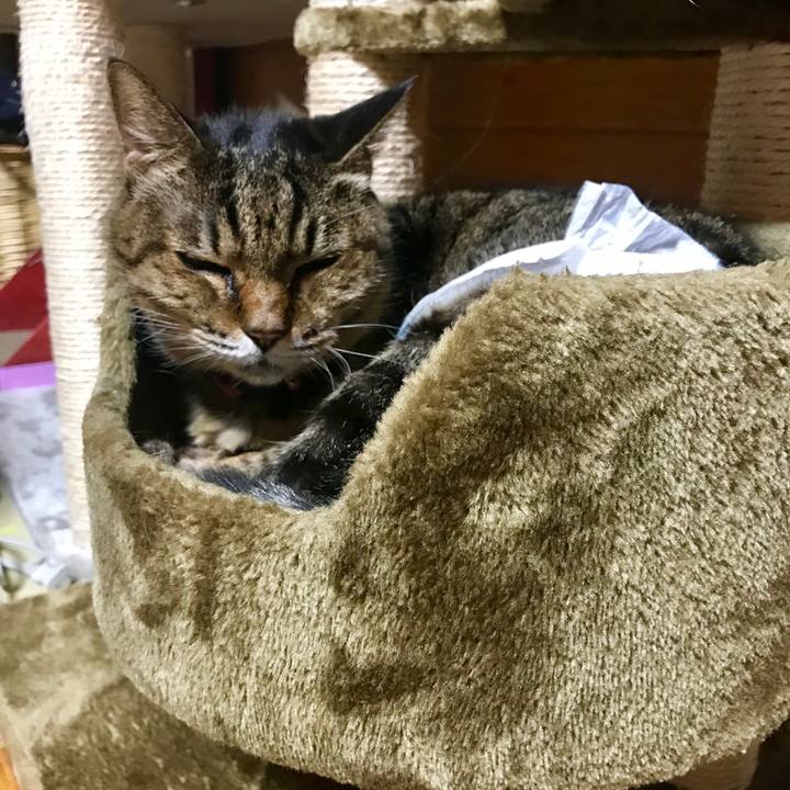 E76ae85e 689c 4019 814b af5e8d9c023c 1542460051792