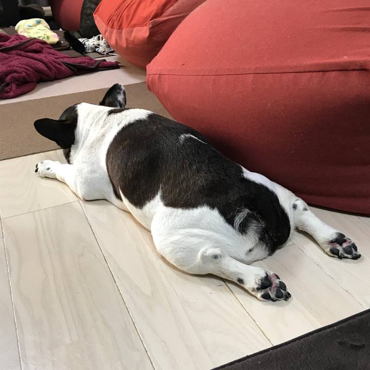 E76afc83 71d3 4baf b06c e6d692346900 1513577854322