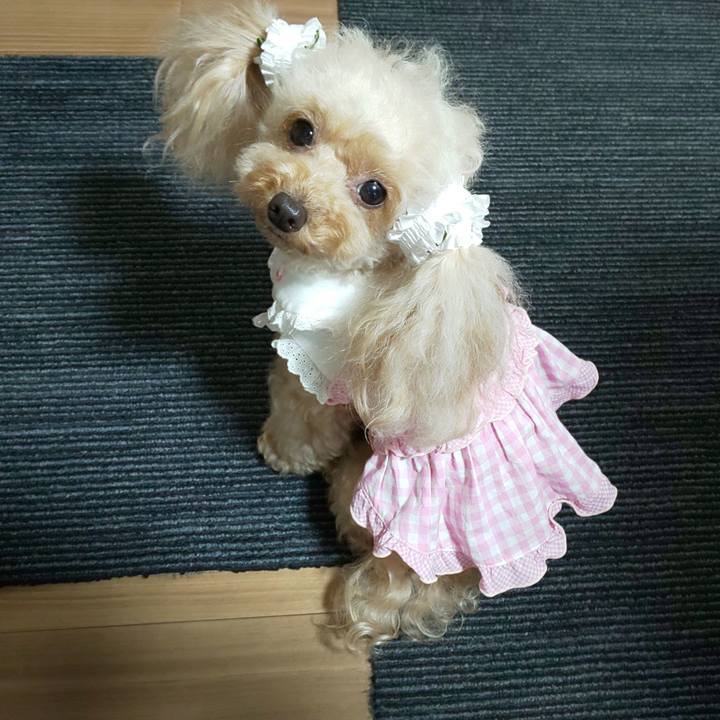 E76b812f b845 40bb 8d6e 00d28a11cf53 1596027082455