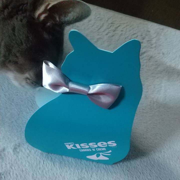 E76b9db0 9926 48ca 96b6 04b876baacde 1613206966416