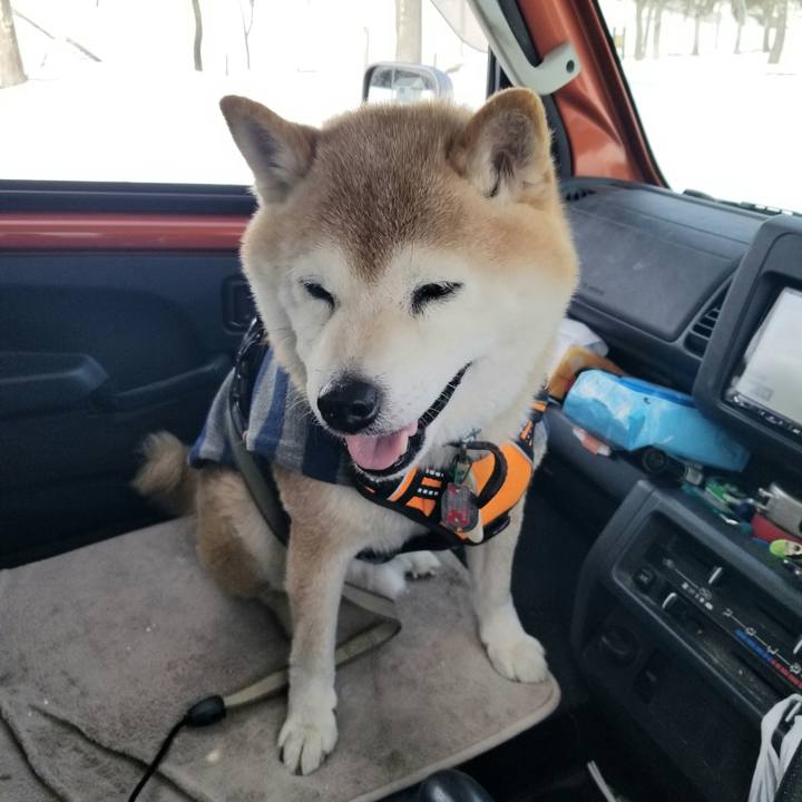 E76ba446 c884 480f 803b 0fb778f9f8f9 1709178982014