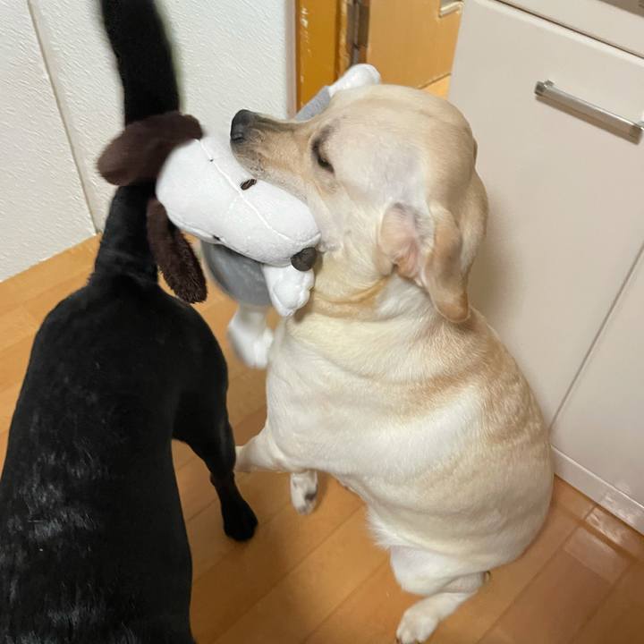 E76bc539 3c51 4027 a92d eb637fe720dd 1632579700079