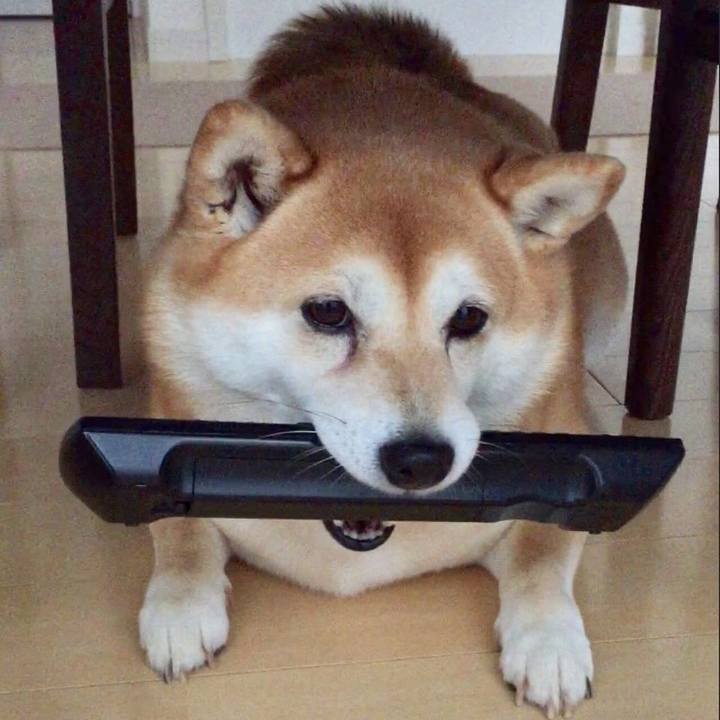 E76bc9cc 3bbe 47e6 9940 b251936830f0 1584143619673