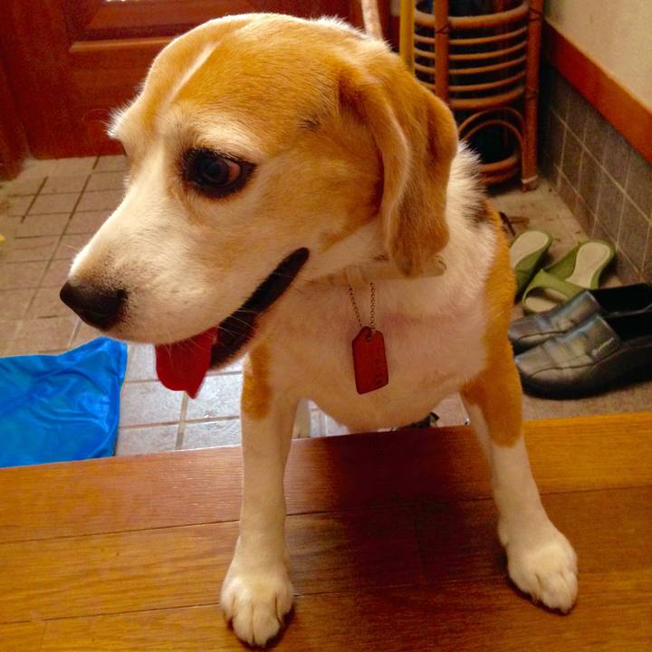 E76bcc13 be44 4f7a 8397 e376ebe519eb 1725407662750