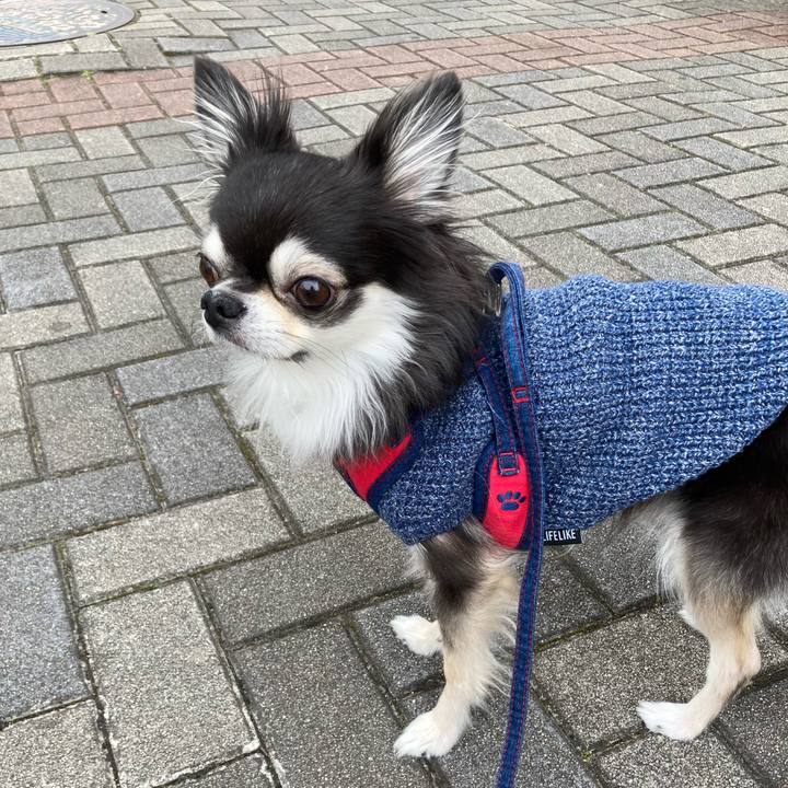 E76bfbe4 ecf5 44be bf51 444198f55ccf 1706414491908