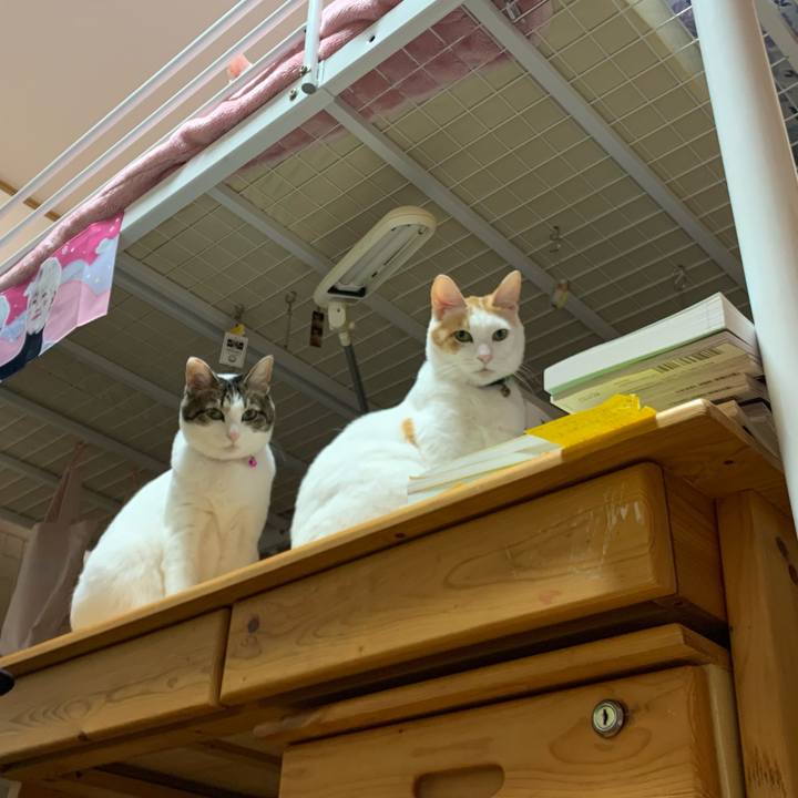 E76c0710 4ba1 4647 9aae 99b8be9c6e6d 1582840052200