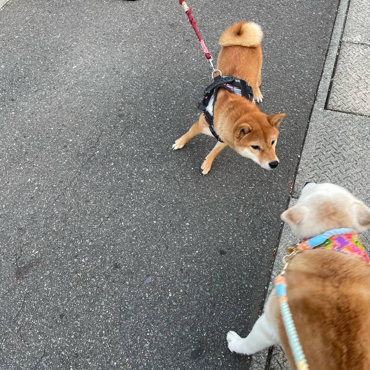 E76c0f45 3984 42f8 b5d0 0141c44b38d9 1666934669225