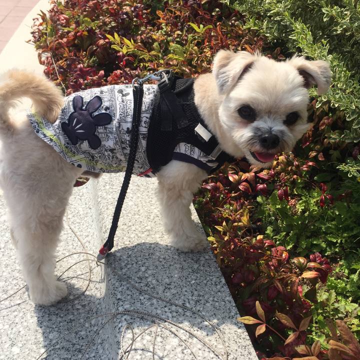 E76c2e23 5cc5 46f3 b6b0 86f41ec081c7 1522752206703