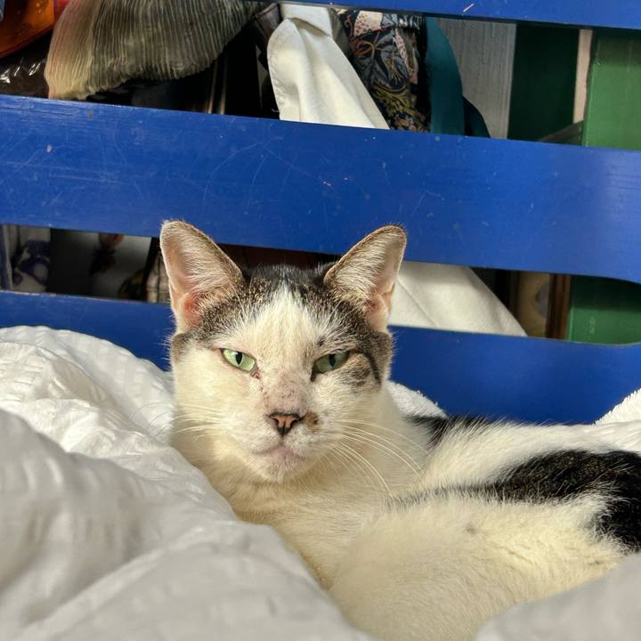 E76c4204 4064 406d a674 cc104eccbc7a 1759103537209