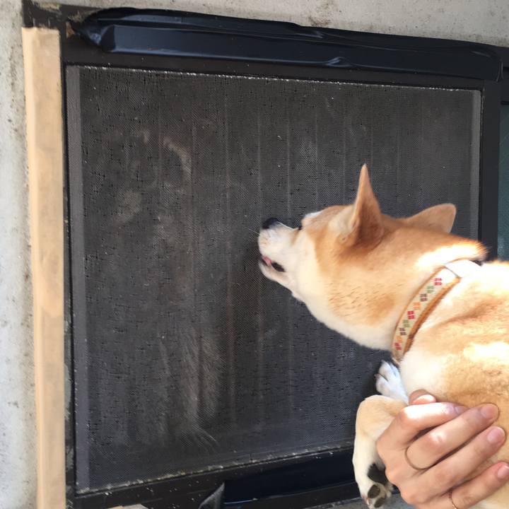 E76c54ac 6f5c 41f5 92c6 62c7084b3e07 1531651151570