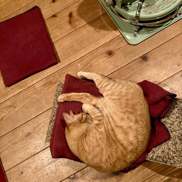 E76c6664 bb05 4331 9031 3f6fafb6776e 1706444755864