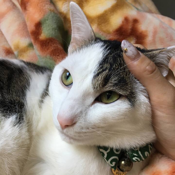 E76c97ad d936 4a08 bbe1 d2b815fcc31d 1526961859295