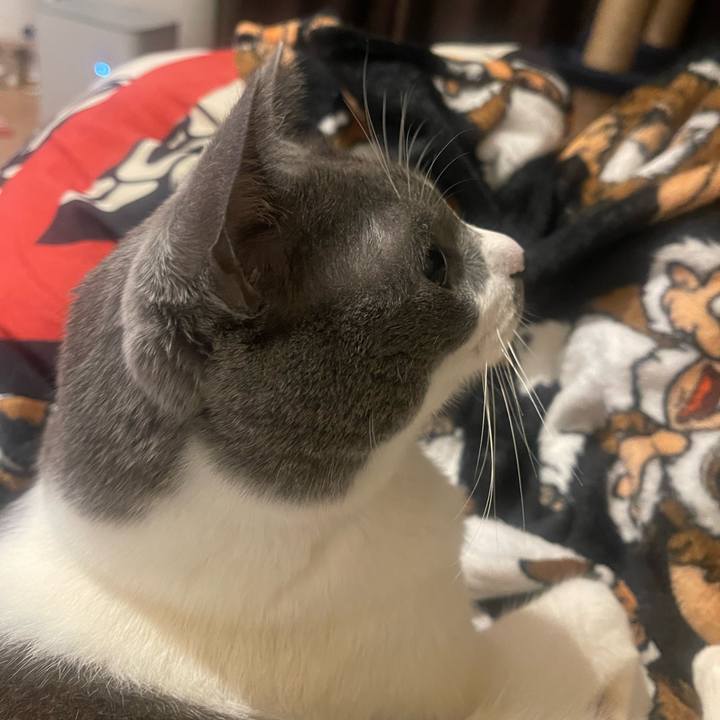 E76cb257 8fd9 4d64 b7ff da82adb53682 1739623225868