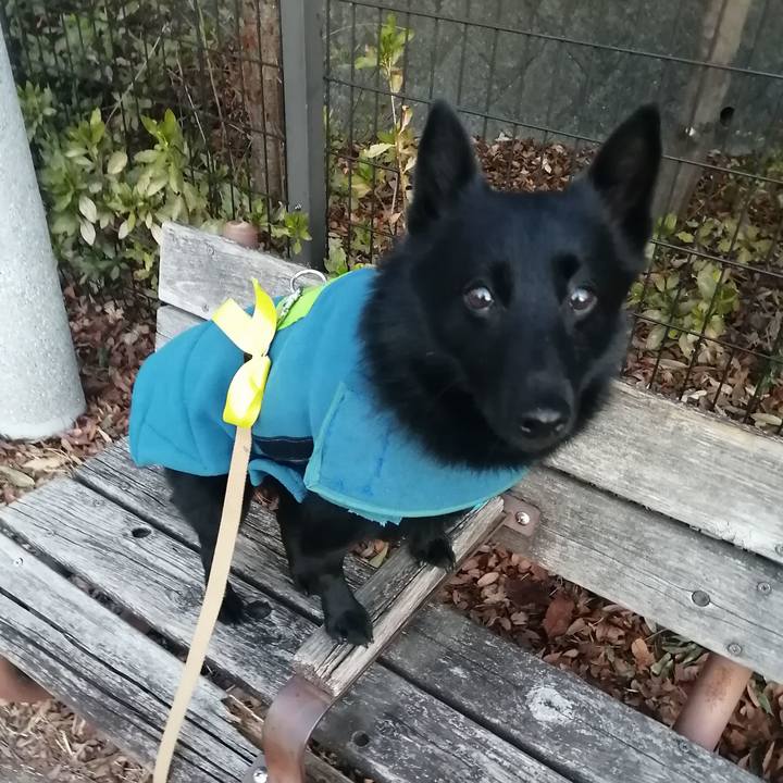 E76d1feb 0d9d 4787 b073 18cd311050fc 1642111826632