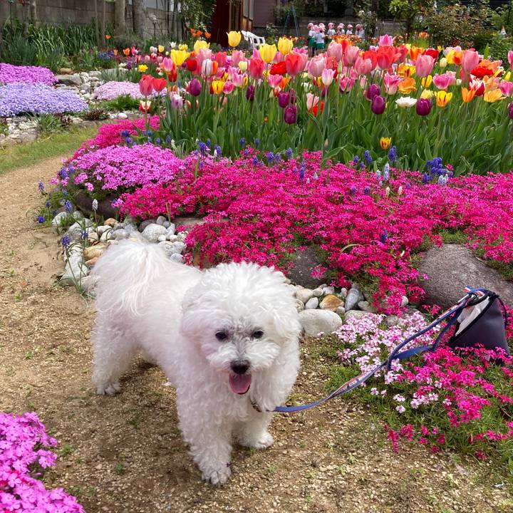 E76d21cc 9669 4f3b bfb1 4238d07fa9b4 1681443139397