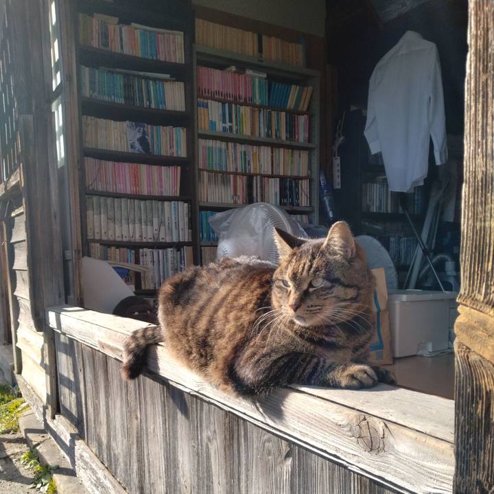 E76dc185 a2f6 4834 97b7 82d8b378cd9c 1708237034587