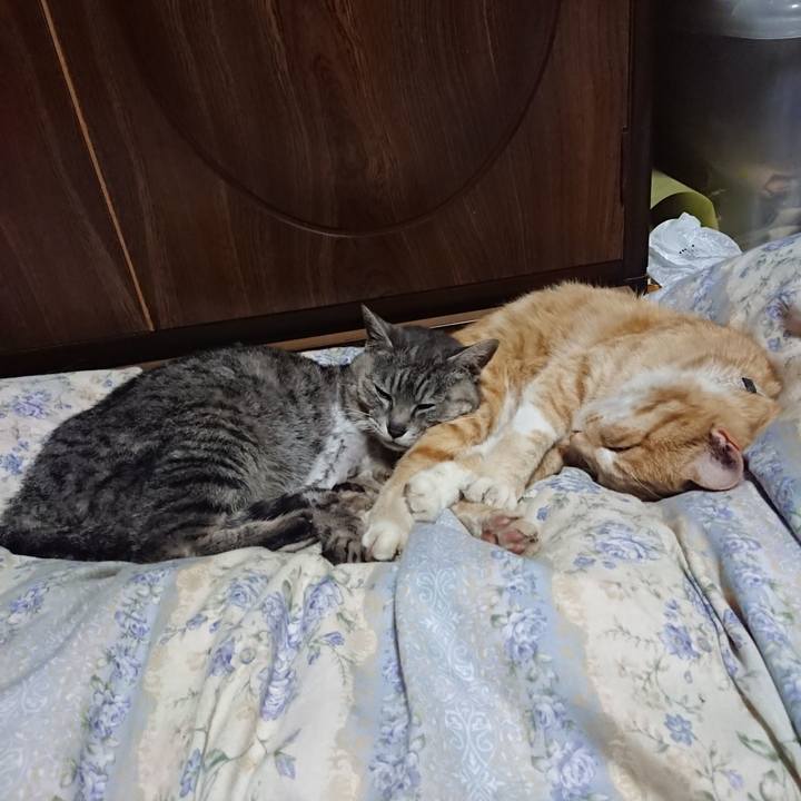 E76df03c f787 4d69 b13d f7680f1a51de 1589286153890