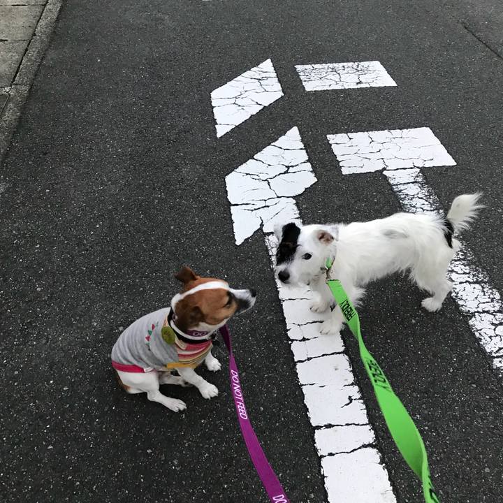 E76e0778 cd36 440a 9d23 59b00390fde9 1508747084479