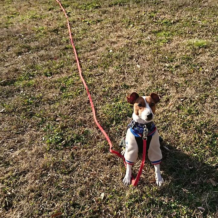 E76e4224 6c4f 45b9 a577 ca4f612bb7c3 1546237215758