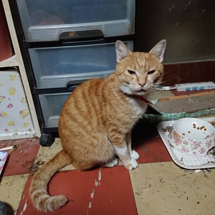 E76e4abf 289f 49db 8d3f 5849f3613fbe 1569268961744