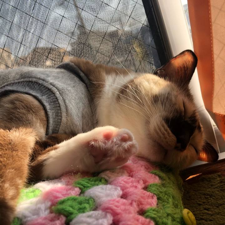 E76e5fef 6c8d 4ad4 b329 bfa589a29978 1667569129473