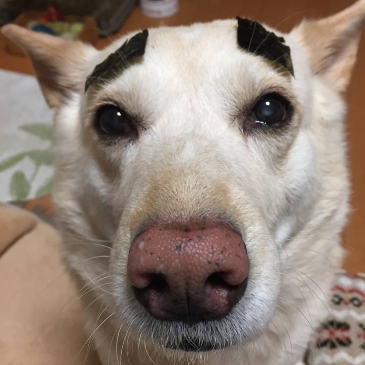 E76e7699 daaf 4258 b8f8 b1f1567cf649 1518356692673