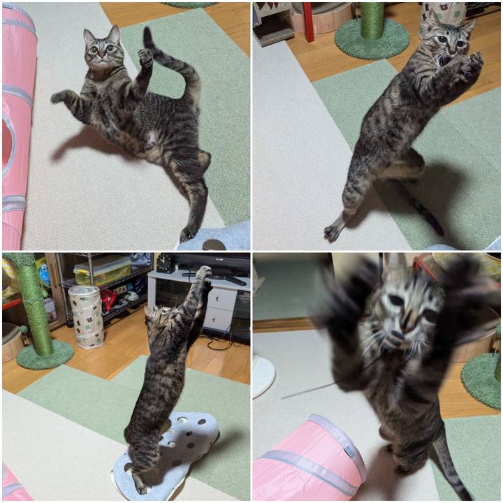 E76e848d 3052 40f5 a64c c883233501c0 1730368806127