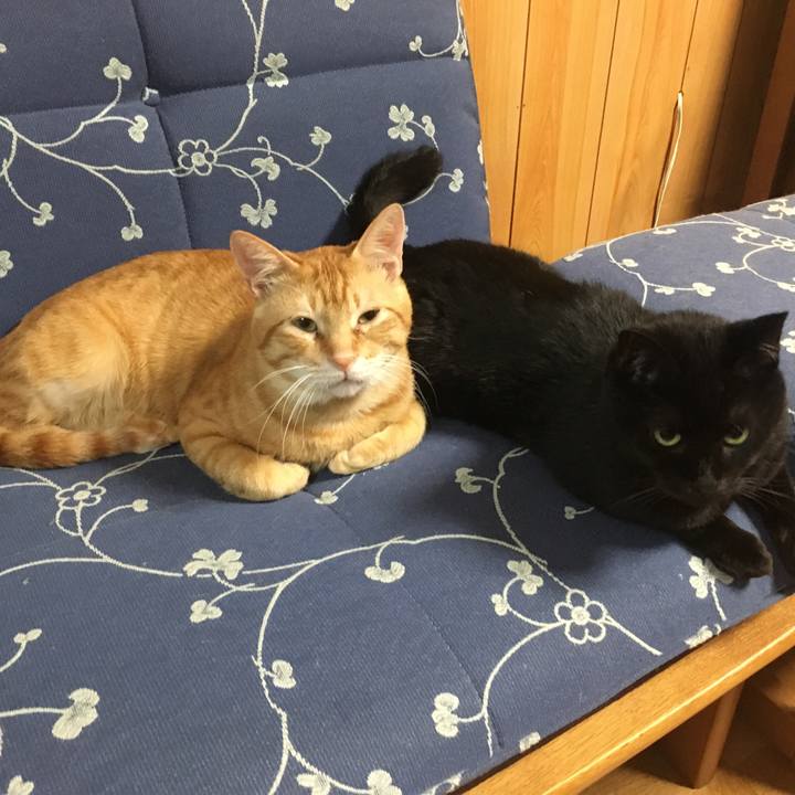 E76e8b0a 09b8 4ad6 a8c9 4b0b52953826 1532352802738