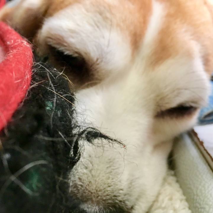 E76e9ae4 25b0 4c60 a031 f53ccb65bf53 1557036104649