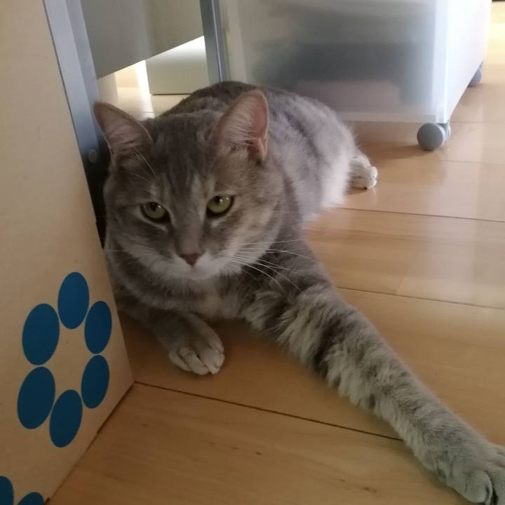 E76ecd42 7a83 4346 b4ca fa62e9136757 1533519664077