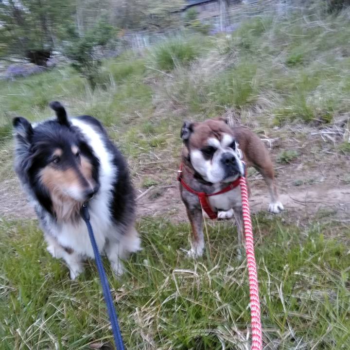 E76ef859 c8c1 4bc8 ad6f a5ca26670b05 1555509017462