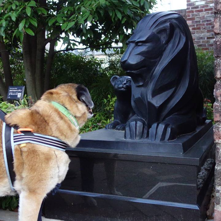 E76efa99 6614 46c5 902e 3fdd7c4b9ce2 1559387630204