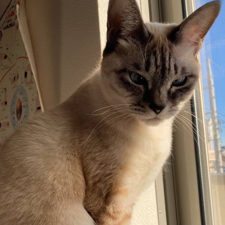 E76f0fb3 af04 4124 80df 7adf976f048f 1705204799553