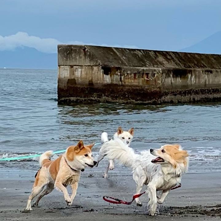 E76f10d3 671c 4d5e 8537 08ac66ae107b 1694086160331