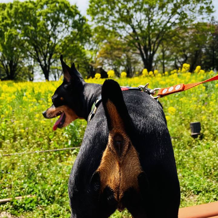 E76f4dc4 8a89 4739 8adc 308e89bdd93e 1713732857413