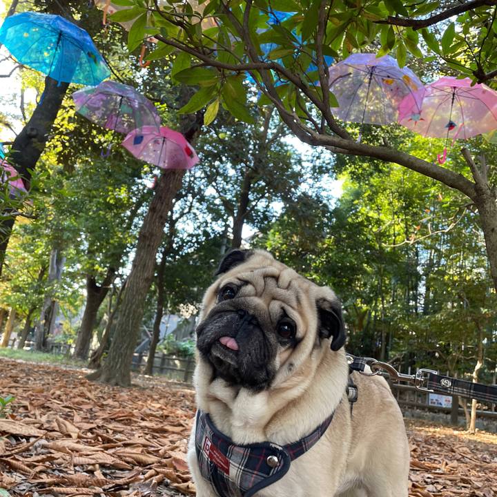 E76f896f b856 4492 944a 0a7acc9d4a88 1668771579302