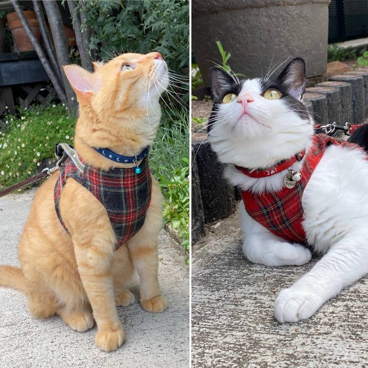 E76f94d2 2ba2 491a adb1 3196b2cac828 1597671716200