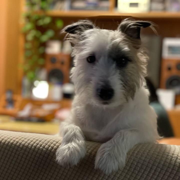 E76f9c49 7212 4c59 b077 a141da91a000 1671323214103