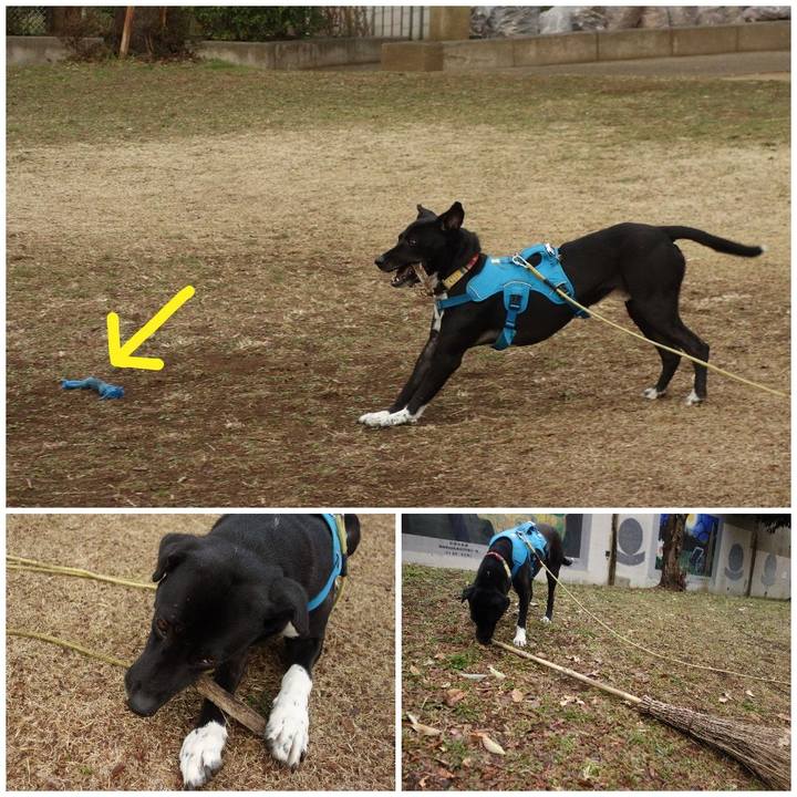 E76fc880 d1a4 4257 bb62 004924ba210f 1614818355481