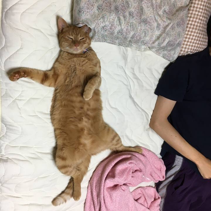 E7707985 941b 44a1 8e43 e322b1494909 1564761274197