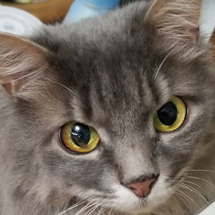 E77097f3 4df3 477e b280 e4aa1daa1185 1564799143643