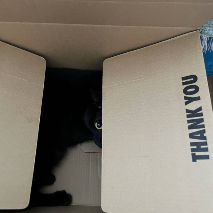 E770d667 1477 4ce0 b85b d8a331f318d9 1720834440125