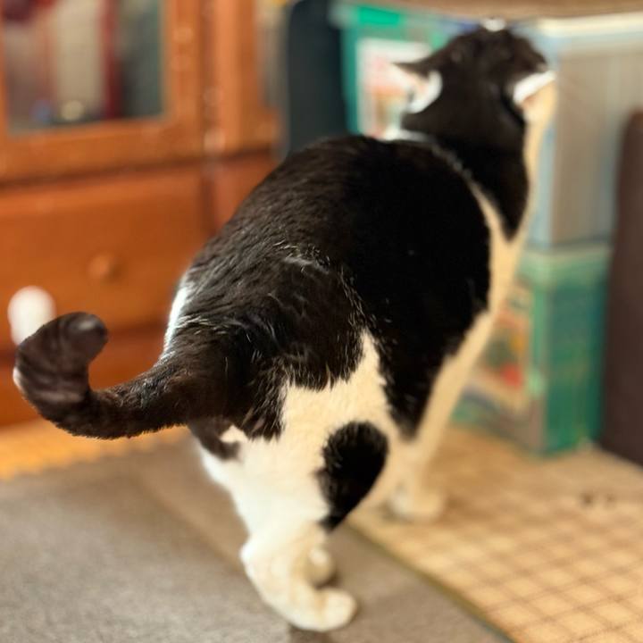 E770d8d5 a27f 41d1 b58d 461b6f0e88e6 1742783736541