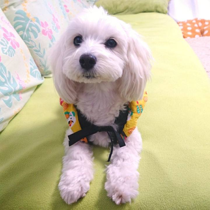 E7711faa c30d 480d 9cd0 63a522960bb6 1512891314441